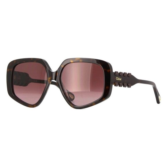 New Authentic  CHLOE Havana Square CH0210S 002 Sunglasses Women - Picture 1 of 4